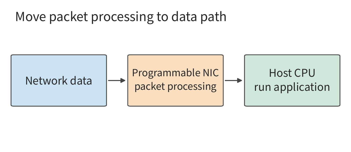 Figure 1-16  A programmable network card completes designated packet processing before data enters the host. Solid lines in the figure trace the data; the processing taken on by the network card reduces the host CPU's auxiliary work.