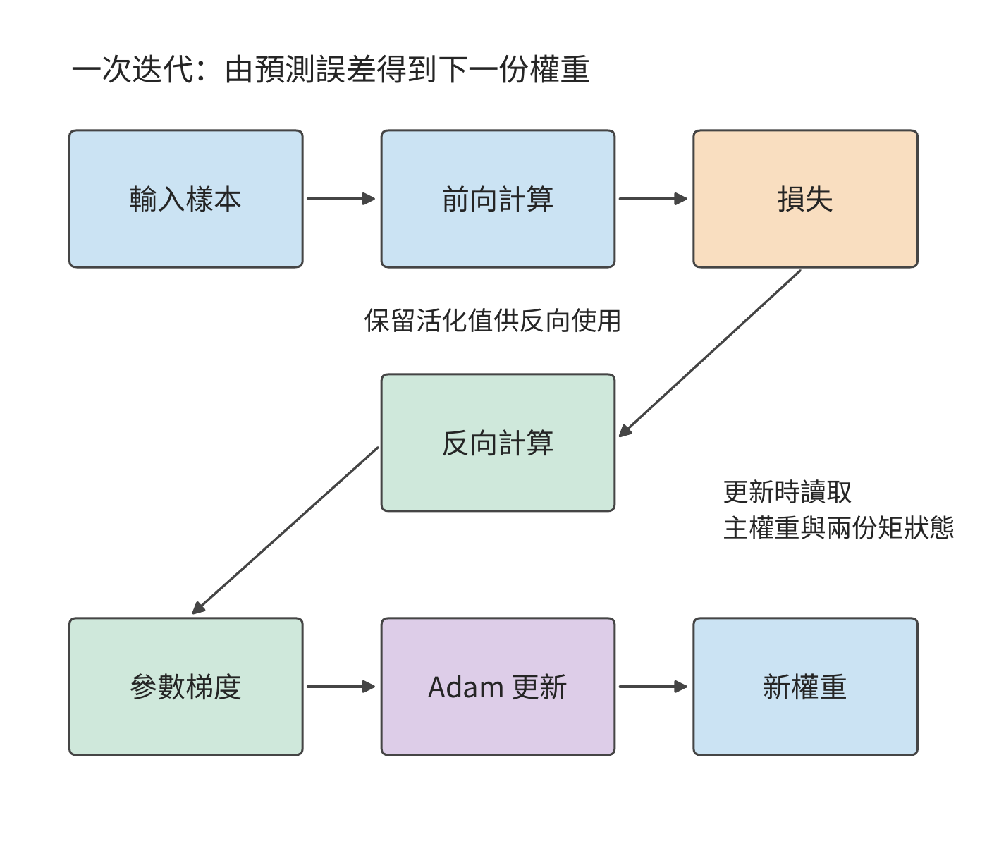 從輸入和當前權重出發，前向得到損失，反向得到參數梯度，Adam 生成新權重