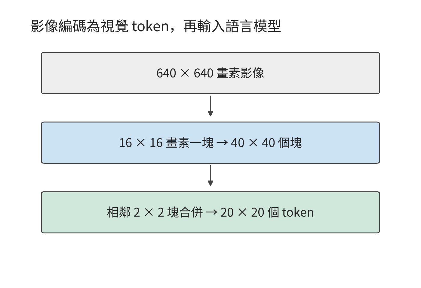影像從畫素網格變為視覺 token。640×640 的方形圖片切成 40×40 個塊，相鄰 2×2 塊合併成一個 token，形成 20×20、共 400 個視覺 token。